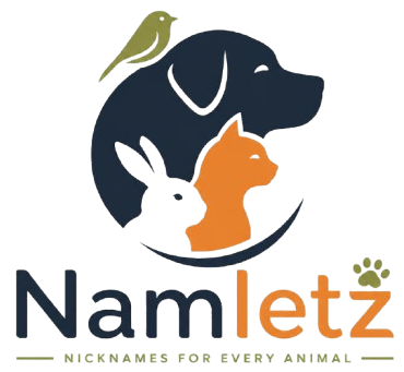 namletz.com